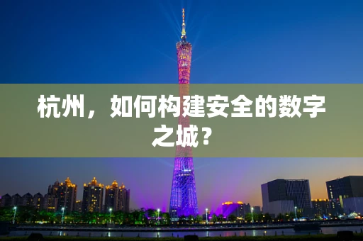 杭州，如何构建安全的数字之城？