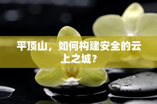 平顶山，如何构建安全的云上之城？