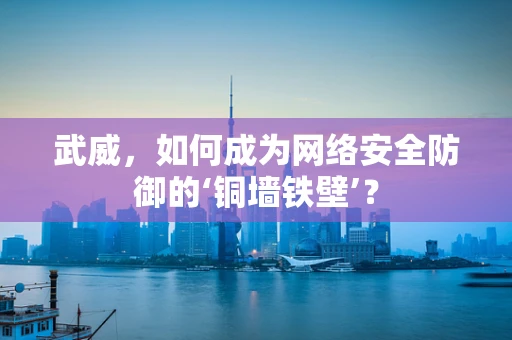 武威，如何成为网络安全防御的‘铜墙铁壁’？