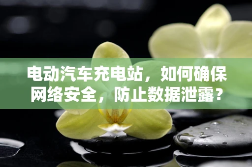 电动汽车充电站，如何确保网络安全，防止数据泄露？