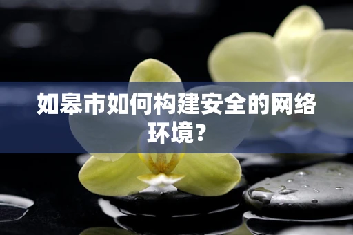 如皋市如何构建安全的网络环境？