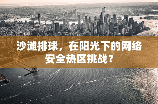 沙滩排球，在阳光下的网络安全热区挑战？
