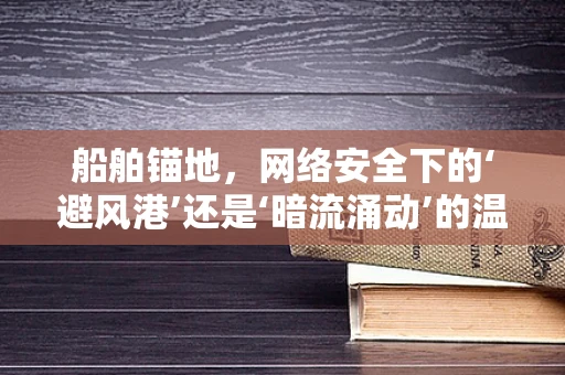 船舶锚地，网络安全下的‘避风港’还是‘暗流涌动’的温床？