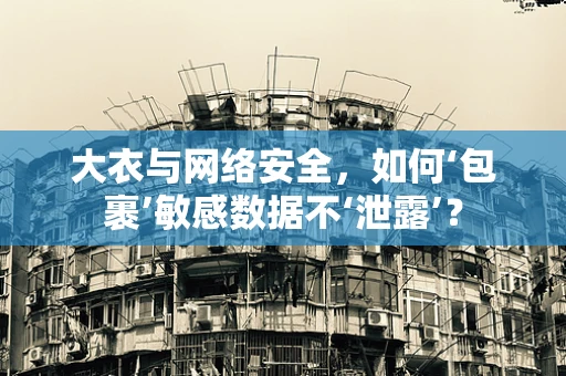 大衣与网络安全，如何‘包裹’敏感数据不‘泄露’？