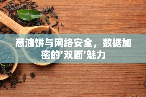 葱油饼与网络安全，数据加密的‘双面’魅力