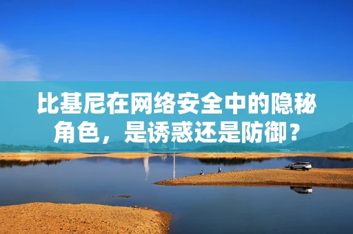 比基尼在网络安全中的隐秘角色，是诱惑还是防御？