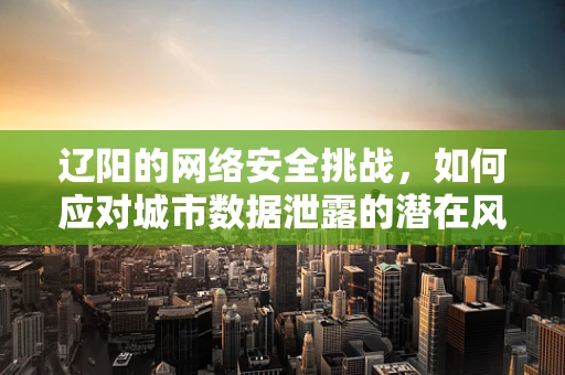 辽阳的网络安全挑战，如何应对城市数据泄露的潜在风险？