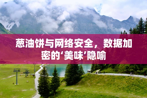 葱油饼与网络安全，数据加密的‘美味’隐喻