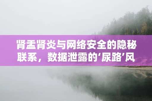 肾盂肾炎与网络安全的隐秘联系，数据泄露的‘尿路’风险？